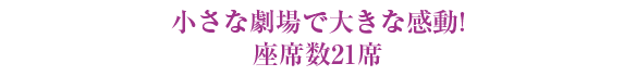 小さな劇場で大きな感動! 座席数21席 小さな劇場で大きな感動! 座席数21席