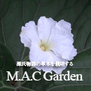 ̑؂͔|M.A.C Garden